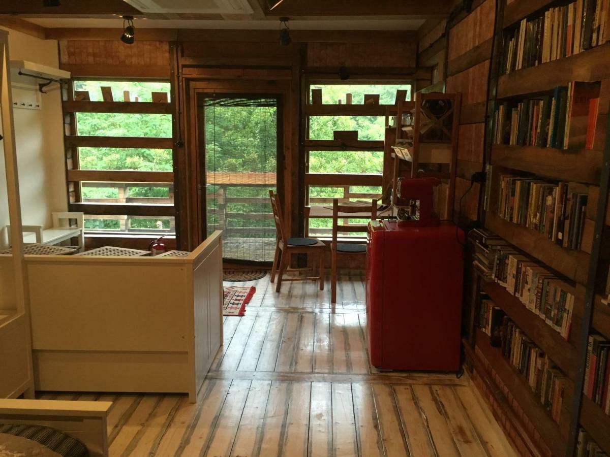 Skay Loft Bed and breakfast Braşov
